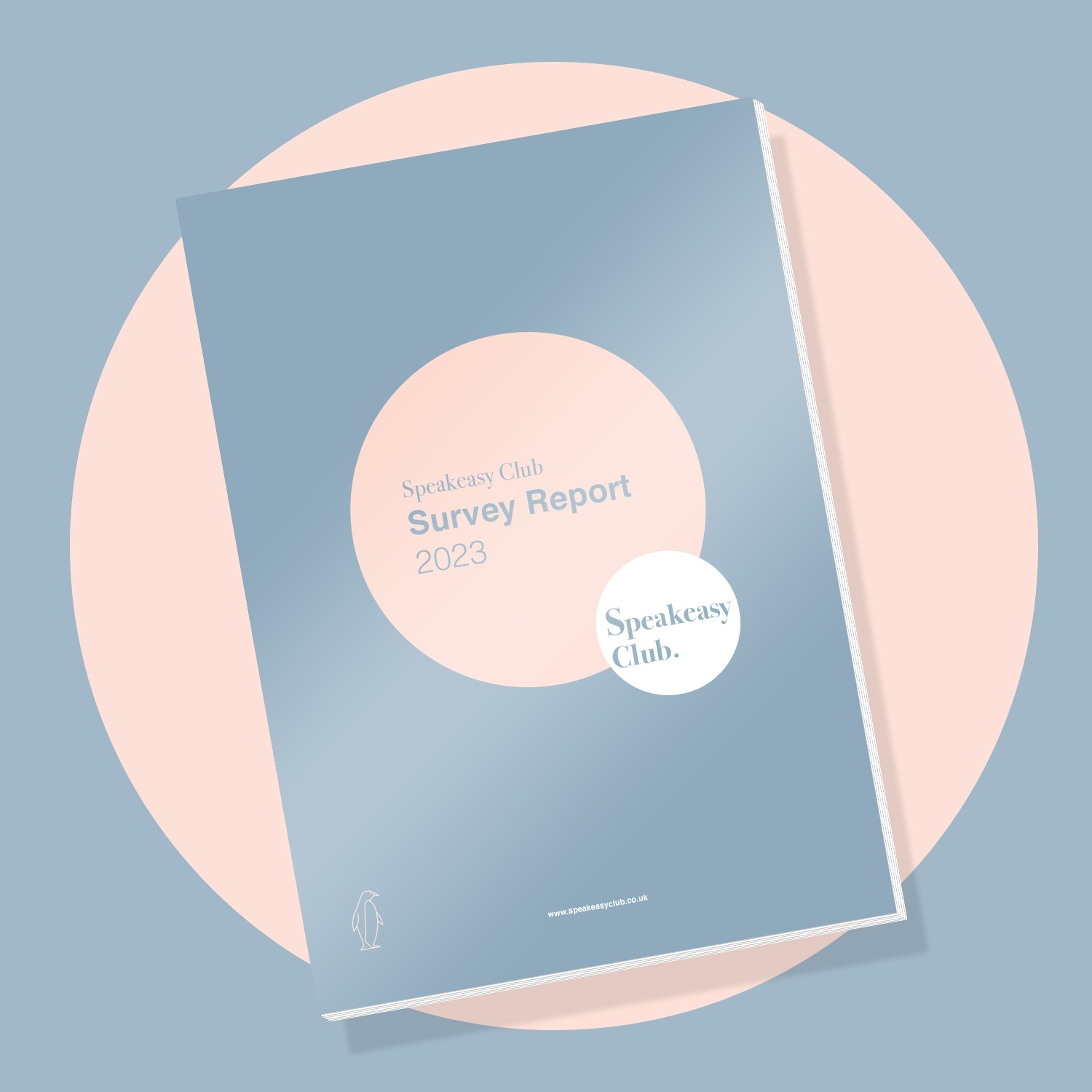 Speakeasy Survey report 2023